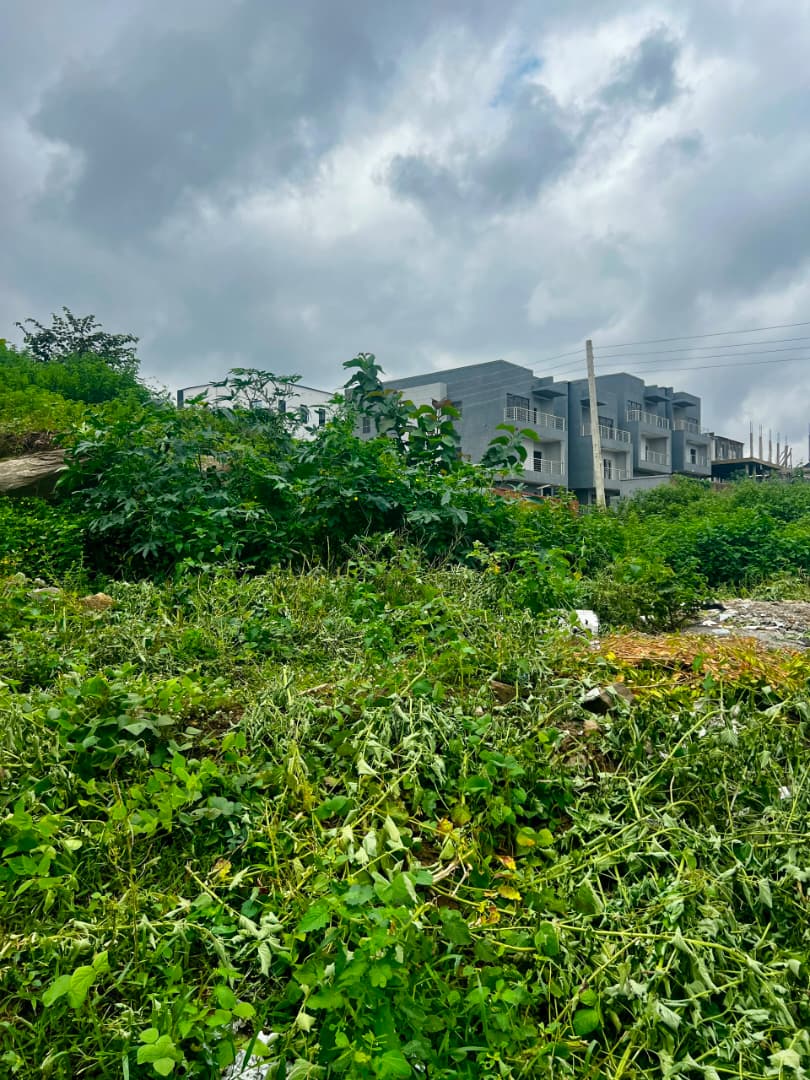 Residential Land for Sale in Guzape, Abuja – 1,587sqm Standalone Plot